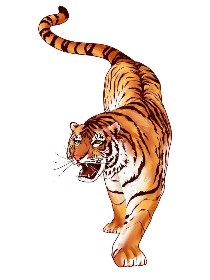 手绘国潮虎年卡通白虎老虎形象插画装饰元素PSD设计素材png免抠图psd模版下载