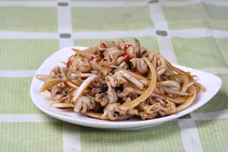 洋葱小八爪16元