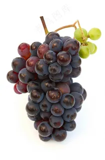 各种水果水果蔬菜 北京风景 各种水果水果蔬菜 北京风景