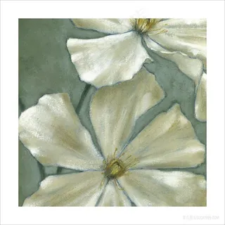 白色花卉花瓣装饰画 白色花卉花瓣装饰画