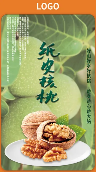 核桃海报竖版