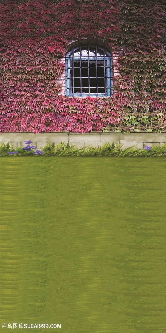 高清草地建筑房子风景画