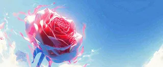 红玫瑰蓝色天空白云唯美，鲜花