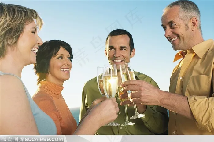 聚餐人群-夫妻情侣派对举杯庆贺幸福快乐聚餐