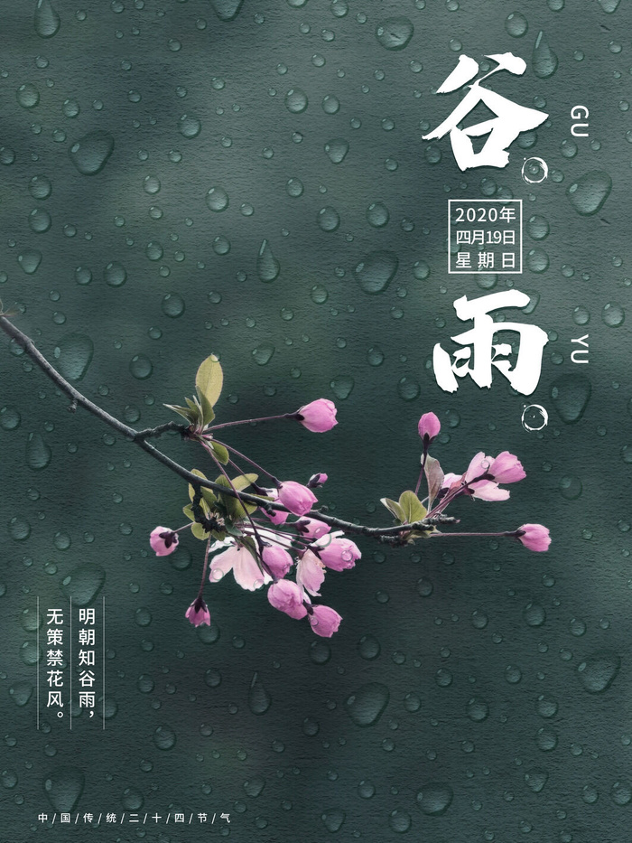 谷雨二十四节气海报设计