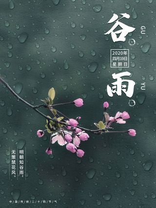 谷雨二十四节气海报设计