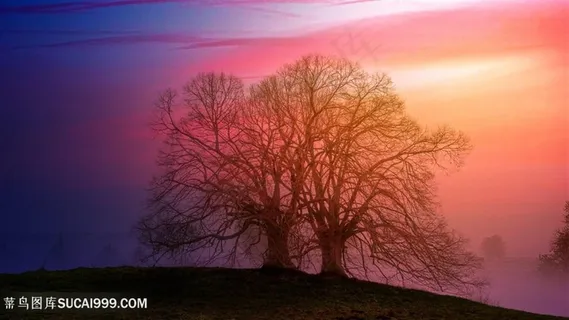 红色天空冬季树林图片