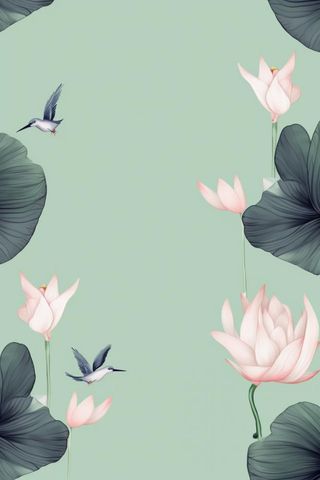 创意简约节气荷花背景