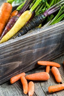 盆子上下都有胡萝卜