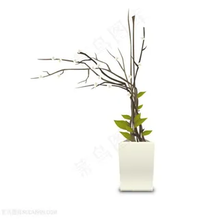 静物家居放置花卉