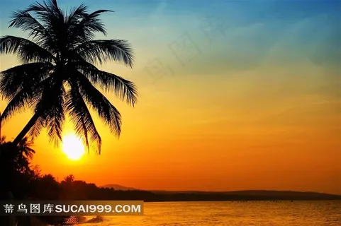 唯美的海边渡假村日落余晖 唯美的海边渡假村日落余晖