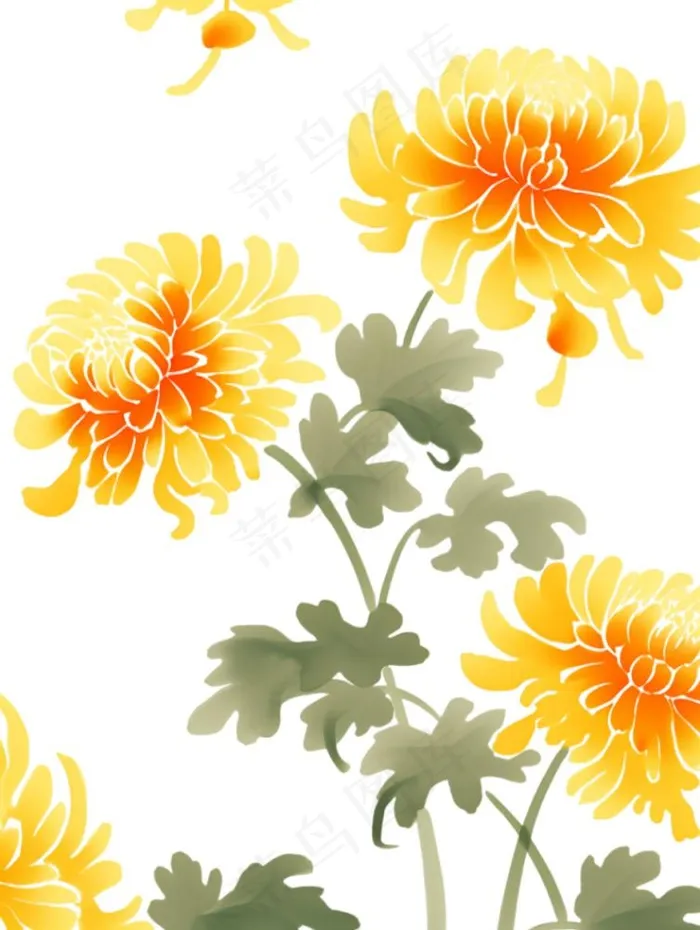 黄色菊花水墨画茶壶重阳节元素免抠(928x1232)