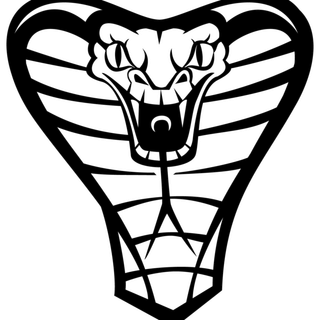 手绘黑白线条眼镜蛇 免扣