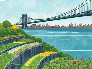 城市河边草地交通风景，春天阳光蓝天白云手绘插画