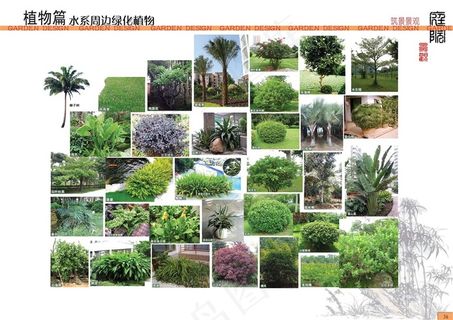 水系周边绿化植物