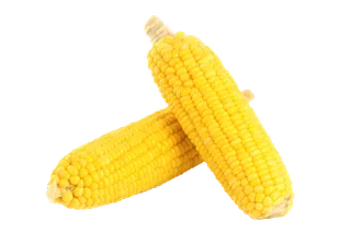 玉米 (8)超市商品白底图免抠实物摄影png格式图片透明底