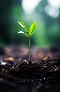 春天一颗嫩绿的幼苗摄影图 春天一颗嫩绿的幼苗摄影图