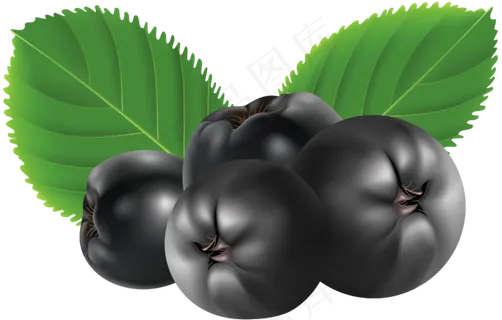 水果鲜水果蓝莓免抠素材
