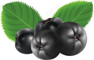 水果鲜水果蓝莓免抠素材
