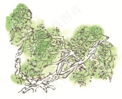 古木绘画摄影图片