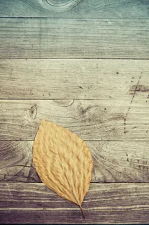 带字伤感qq皮肤图片 带字伤感qq皮肤图片