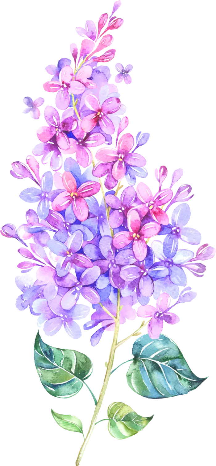 38妇女节三八女神女王粉色花朵玫瑰艺术字设计png免抠ps素材