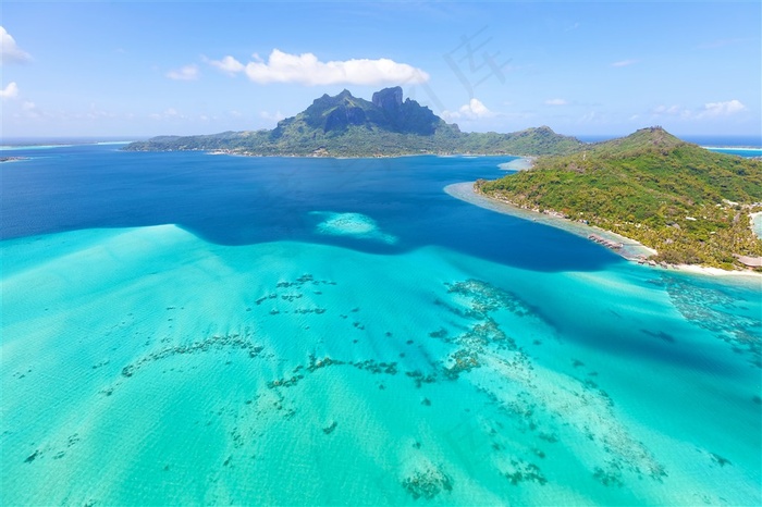 海上蓝色浮游生物