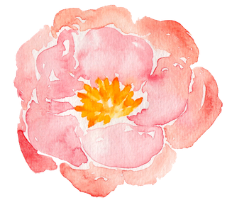 唯美森系手绘水彩花朵 免抠