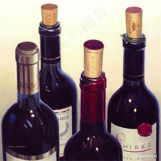 红酒瓶子艺术画
