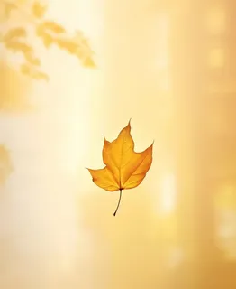 秋天落叶秋叶黄色背景