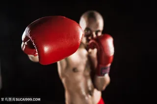打拳击的国外男人高清图片