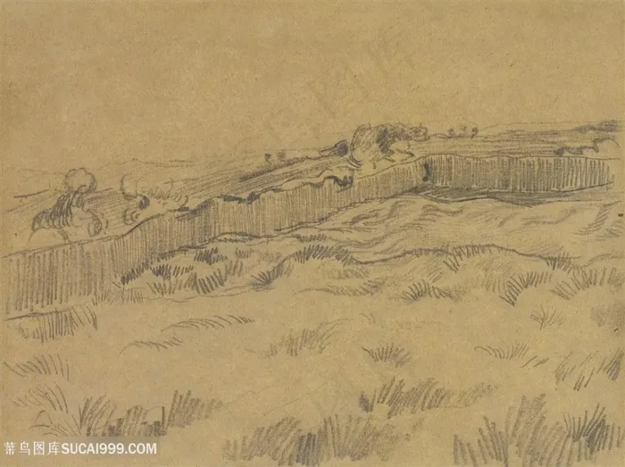 文森特·梵高壁球场装饰画