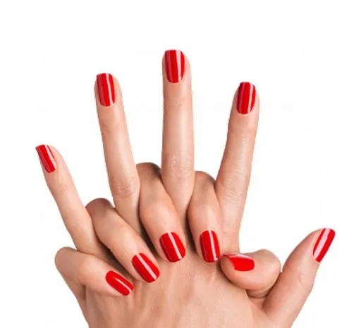 指甲 PNG免抠(550x501)