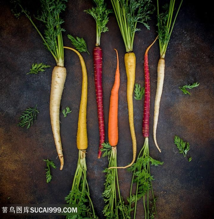 唯美胡萝卜素材图片