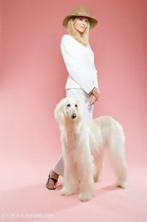 高清美女与阿富汗猎犬狗狗图片 高清美女与阿富汗猎犬狗狗图片