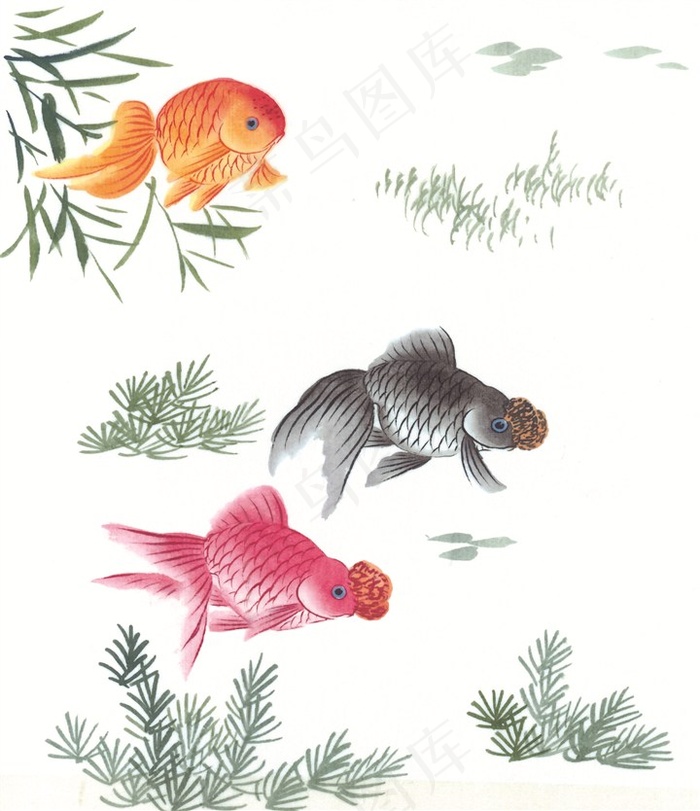 鱼虾蟹龟高清jpg素材