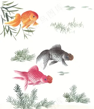 鱼虾蟹龟高清jpg素材