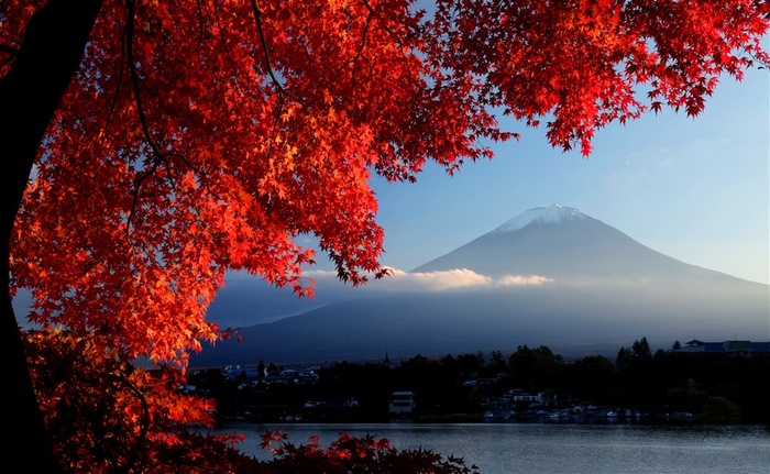 富士山红枫叶图片