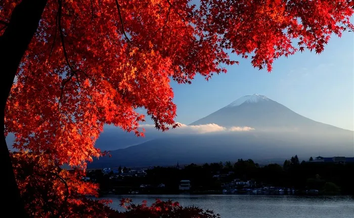 富士山红枫叶图片