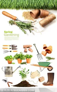 低碳环保绿色植树节植树工具全集素材 低碳环保绿色植树节植树工具全集素材