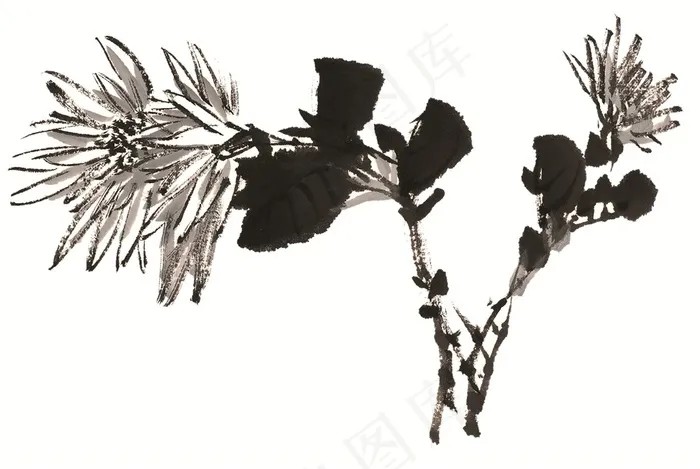 花卉艺术绘画摄影图片