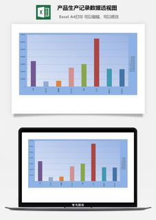 产品生产记录数据透视图excel模板