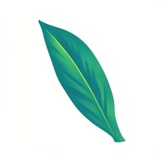 一片树叶png免抠