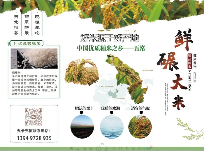 五常大米128克单页500张psd模版下载