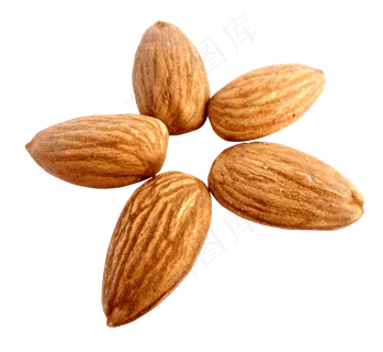 免抠干果坚果杏仁免抠