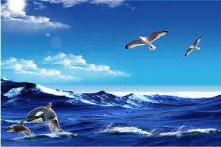 山水花鸟海鸥海豚蓝天白云大海背景高清图免抠元素客厅卧室装饰画玄关画海报