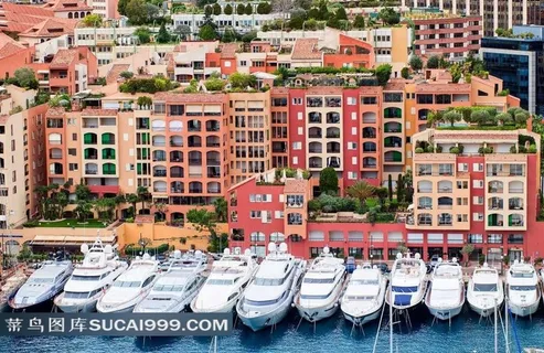 密集的海港红房子