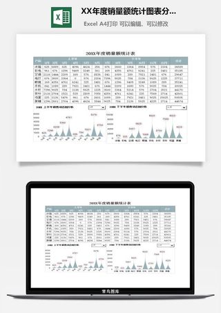 20XX年度销量额统计图表分析