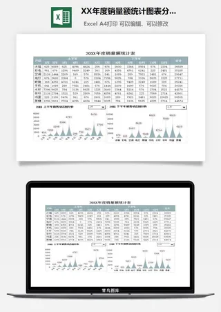 20XX年度销量额统计图表分析