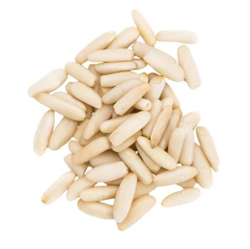 松子 PNG免抠(2048x2036)